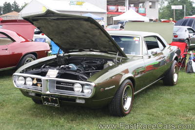 FIREBIRD